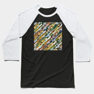 African Wildlife Stripe Collage Multi Color Baseball T-Shirt